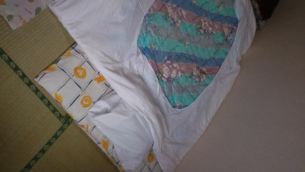 Hotel New Hakuginso à NakaNakafurano Chambre photo